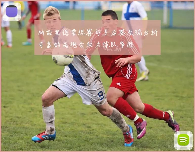 纳兹里德常规赛与季后赛表现分析可靠的高炮台助力球队争胜
